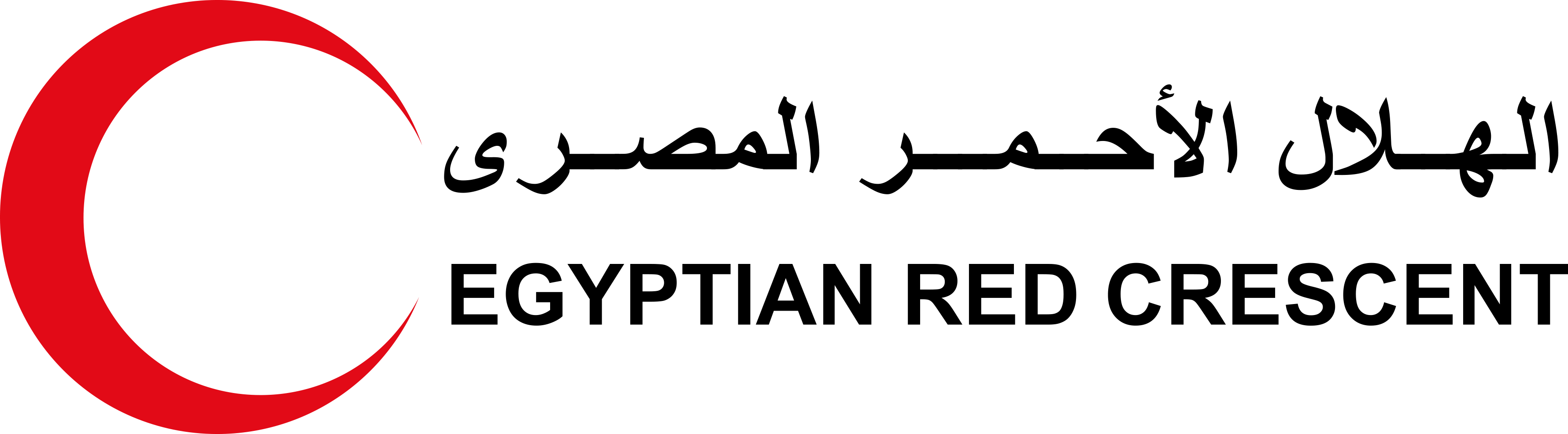 High reslution ERC logo High reslution ERC logo